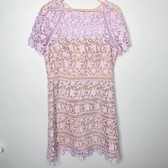 Eliza J | Dresses | Eliza J Open Lace Dress Lavender Cap Sleeve Sz 4 |  Poshmark